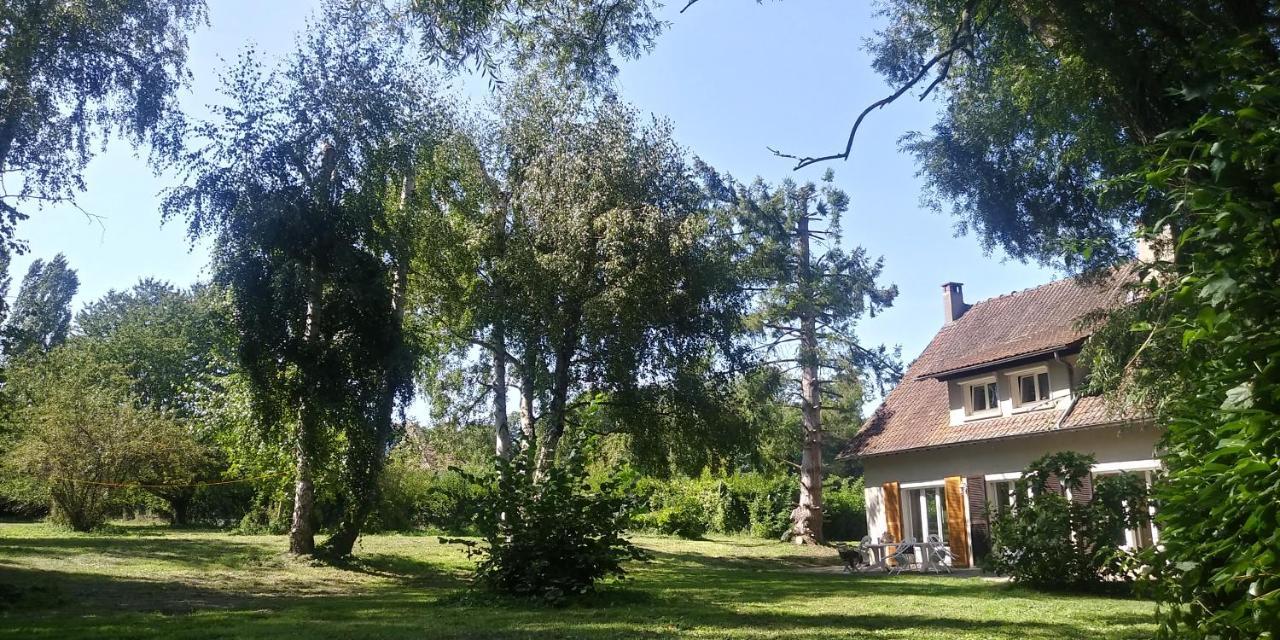 Villa - Coulommiers - Parcs Des Felins - Provins Beautheil-Saints Dış mekan fotoğraf