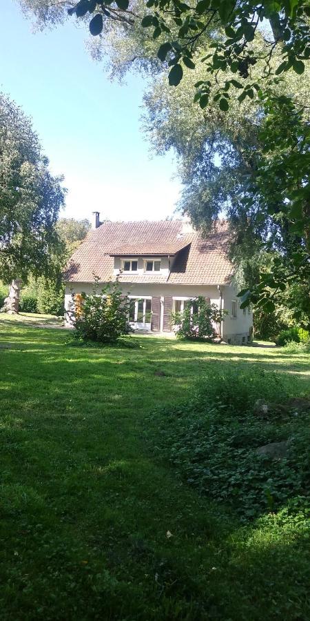 Villa - Coulommiers - Parcs Des Felins - Provins Beautheil-Saints Dış mekan fotoğraf