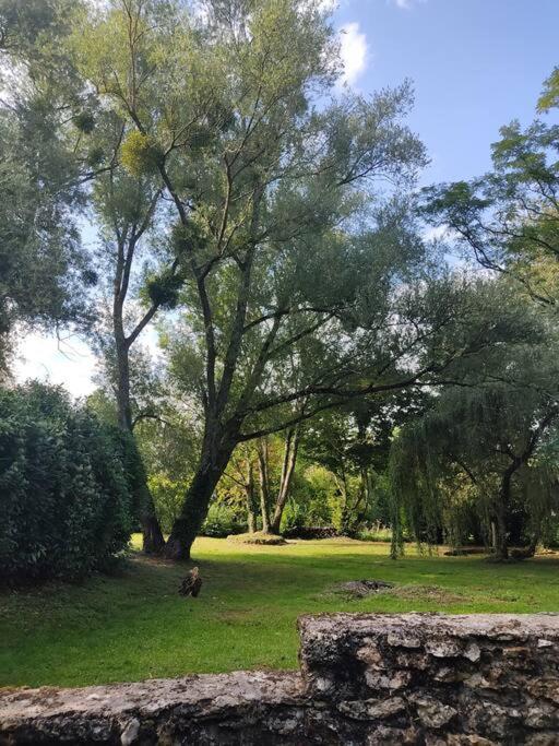 Villa - Coulommiers - Parcs Des Felins - Provins Beautheil-Saints Dış mekan fotoğraf